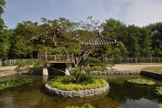 Fotowalk Koreanischer Garten - Fotograf Albert Wenz
