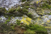 Fotowalk Zieglerort Wi-Bierstadt - Fotograf Helmut Joa