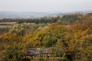 Baumwipfelpfad Bad Camberg - Fotograf Werner Ch. Buchwald